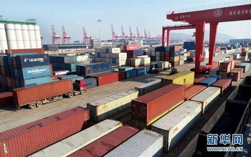 組團出海搶訂單，穩外貿注入新動能